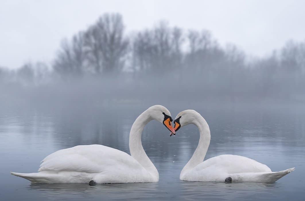 632b66712aa30.1765222003