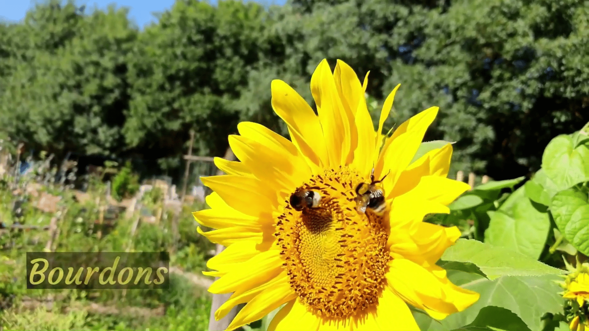 2026_05_09_biodiversité