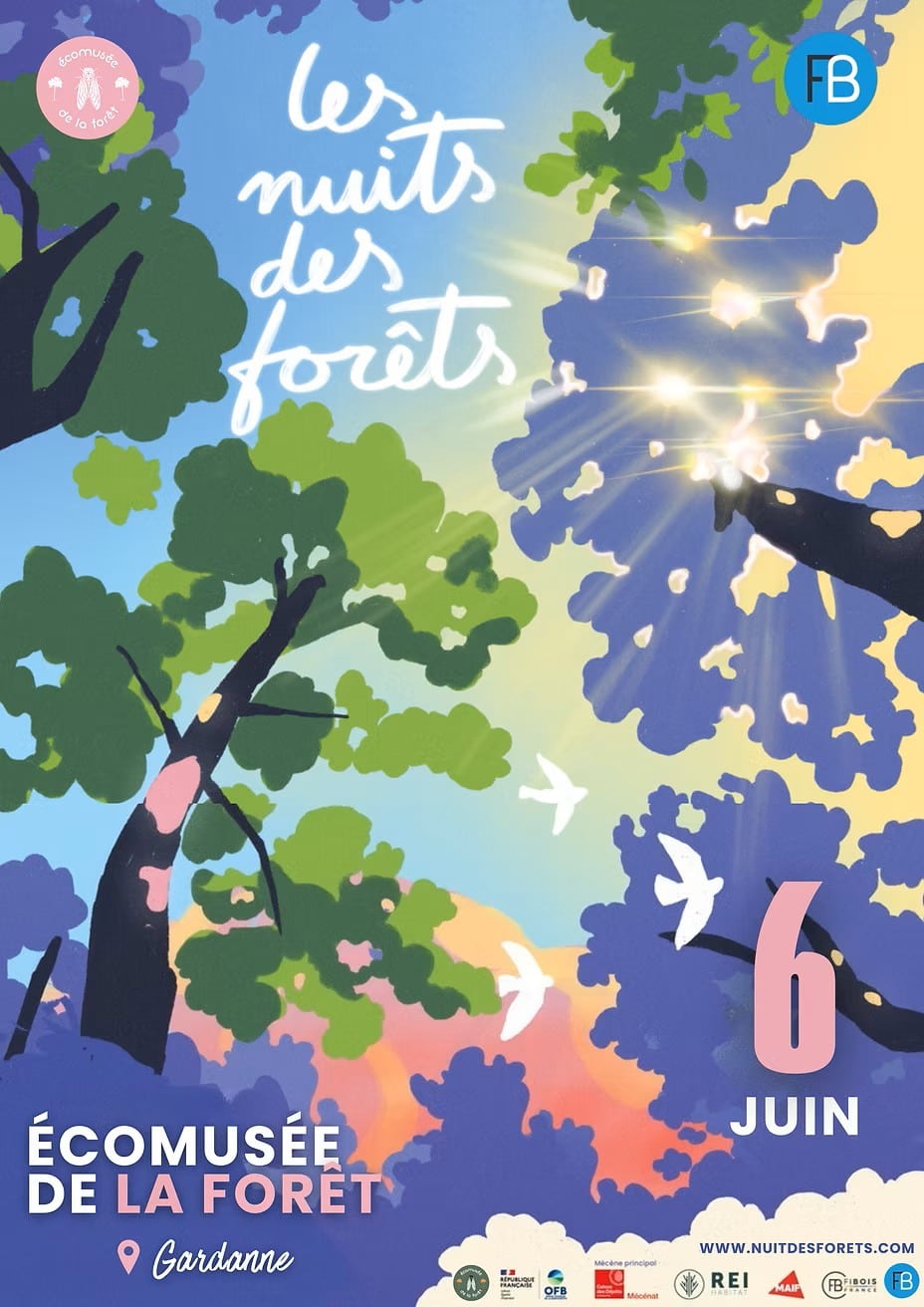 AFFICHE les nuits des forets