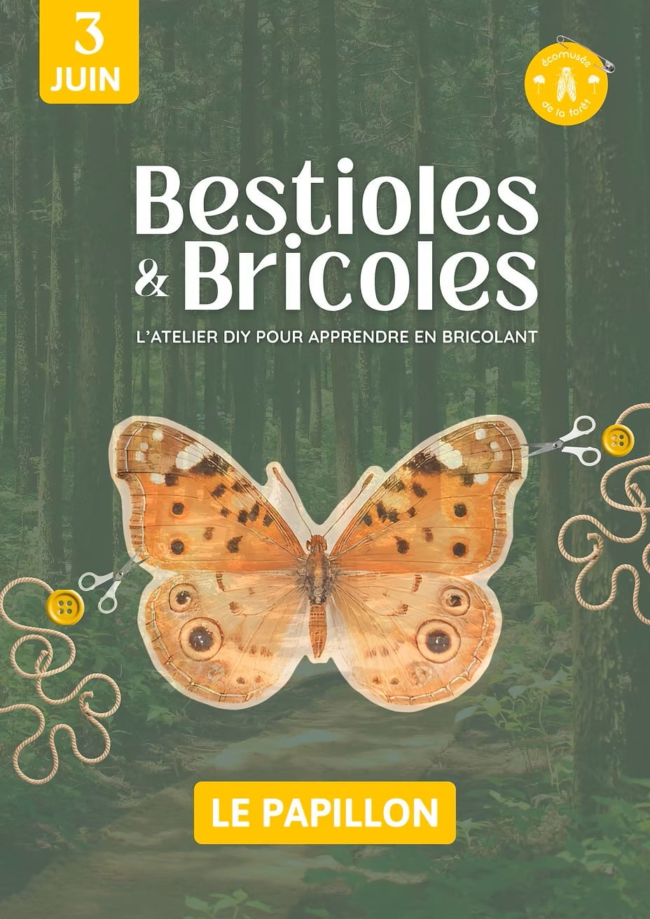 bestioles et bricoles
